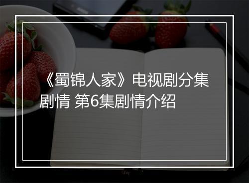 《蜀锦人家》电视剧分集剧情 第6集剧情介绍
