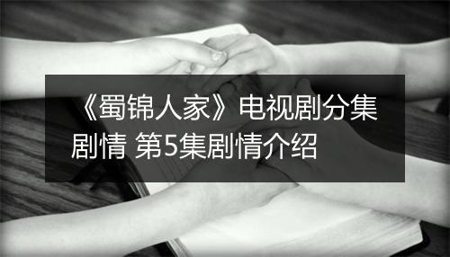 《蜀锦人家》电视剧分集剧情 第5集剧情介绍
