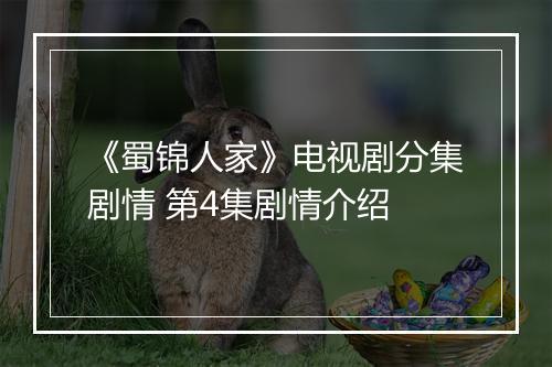《蜀锦人家》电视剧分集剧情 第4集剧情介绍