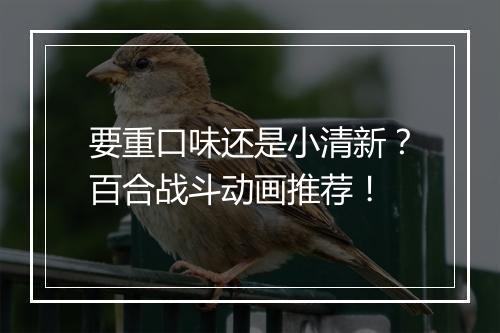 要重口味还是小清新？百合战斗动画推荐！