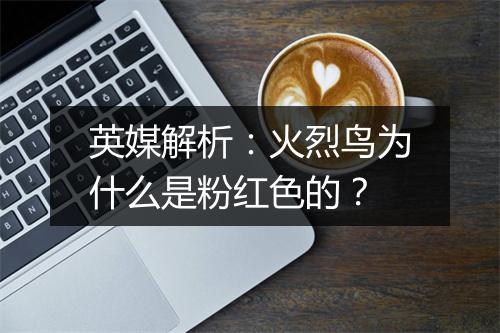 英媒解析：火烈鸟为什么是粉红色的？
