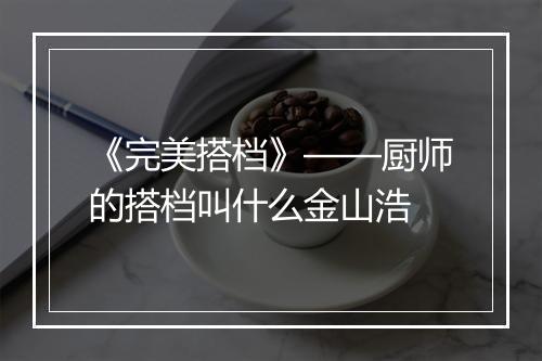 《完美搭档》——厨师的搭档叫什么金山浩
