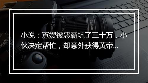 小说：寡嫂被恶霸坑了三十万，小伙决定帮忙，却意外获得黄帝传承