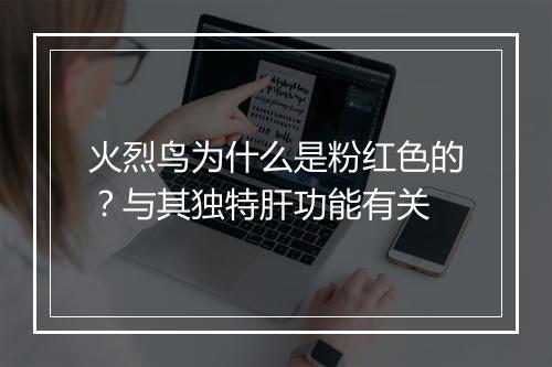火烈鸟为什么是粉红色的？与其独特肝功能有关