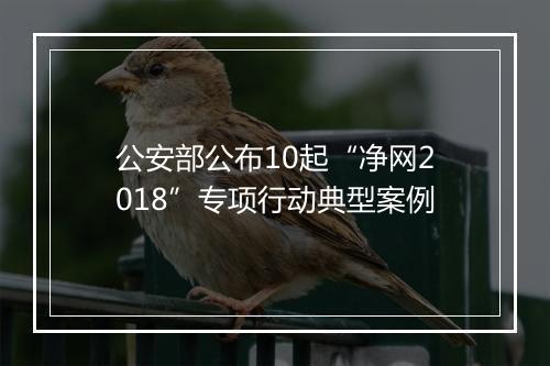 公安部公布10起“净网2018”专项行动典型案例
