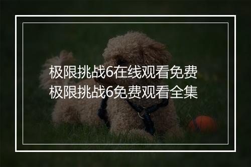 极限挑战6在线观看免费 极限挑战6免费观看全集