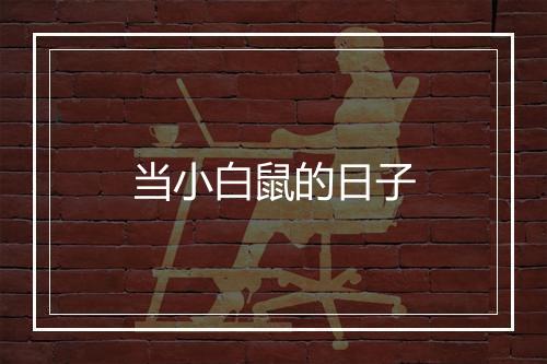 当小白鼠的日子
