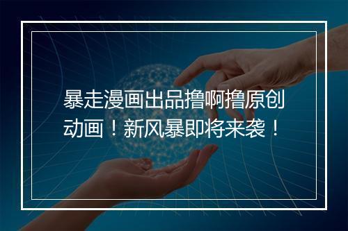 暴走漫画出品撸啊撸原创动画！新风暴即将来袭！