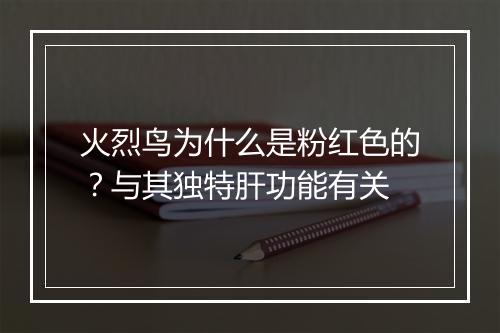 火烈鸟为什么是粉红色的？与其独特肝功能有关