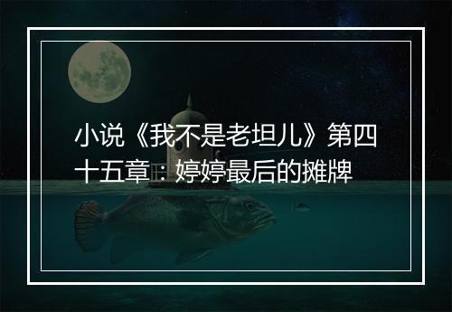 小说《我不是老坦儿》第四十五章：婷婷最后的摊牌