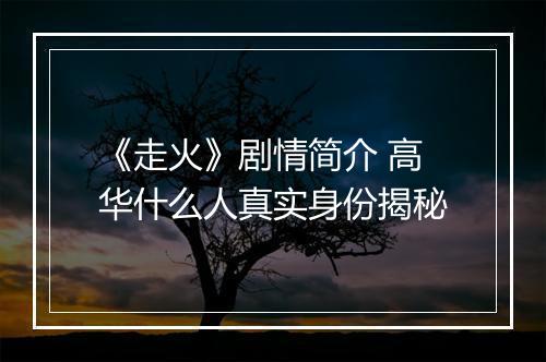 《走火》剧情简介 高华什么人真实身份揭秘