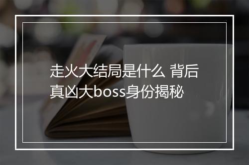 走火大结局是什么 背后真凶大boss身份揭秘