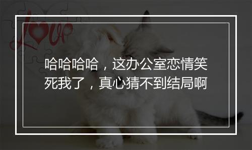 哈哈哈哈，这办公室恋情笑死我了，真心猜不到结局啊