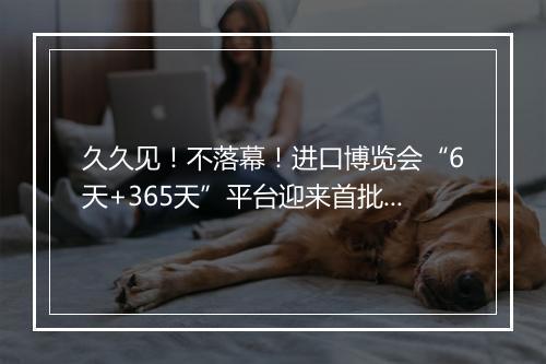 久久见！不落幕！进口博览会“6天+365天”平台迎来首批30个子平台入驻