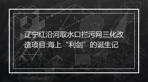 辽宁红沿河取水口拦污网三化改造项目:海上“利剑”的诞生记