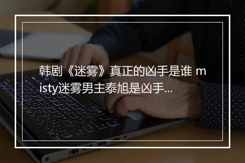 韩剧《迷雾》真正的凶手是谁 misty迷雾男主泰旭是凶手吗