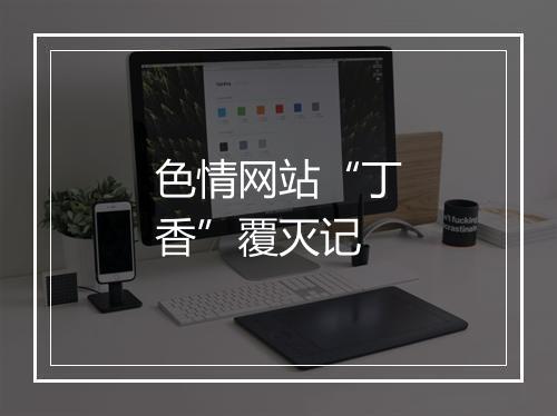 色情网站“丁香”覆灭记