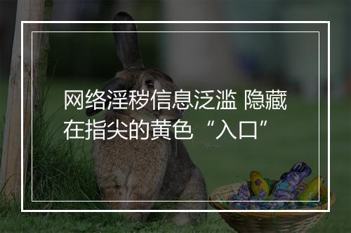 网络淫秽信息泛滥 隐藏在指尖的黄色“入口”