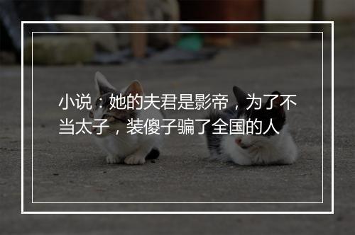 小说：她的夫君是影帝，为了不当太子，装傻子骗了全国的人