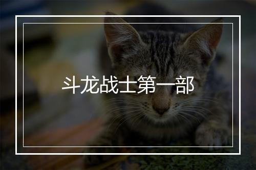 斗龙战士第一部