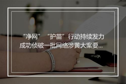 “净网”“护苗”行动持续发力 成功侦破一批网络涉黄大案要案