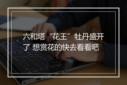 六和塔“花王”牡丹盛开了 想赏花的快去看看吧