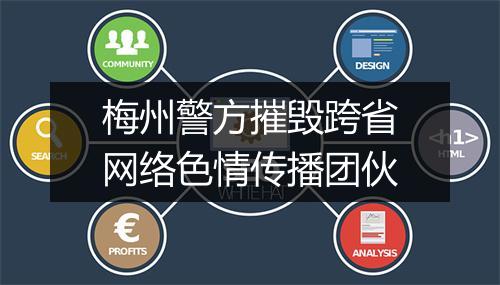 梅州警方摧毁跨省网络色情传播团伙