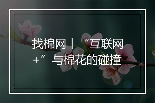 找棉网丨“互联网+”与棉花的碰撞