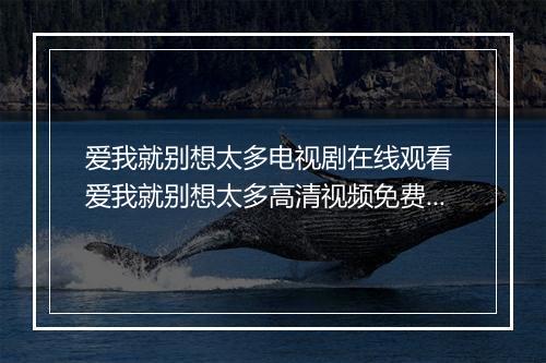 爱我就别想太多电视剧在线观看 爱我就别想太多高清视频免费播放观看