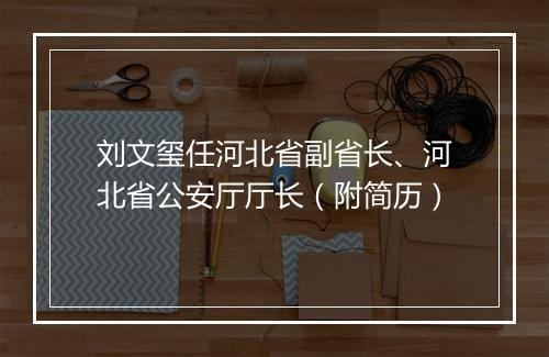 刘文玺任河北省副省长、河北省公安厅厅长（附简历）