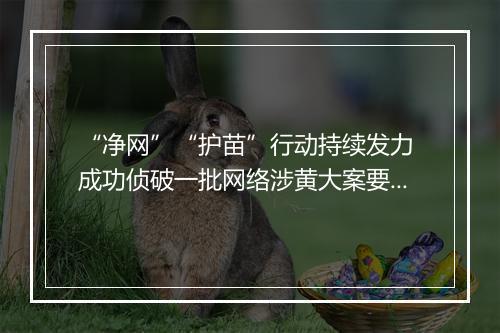 “净网”“护苗”行动持续发力 成功侦破一批网络涉黄大案要案