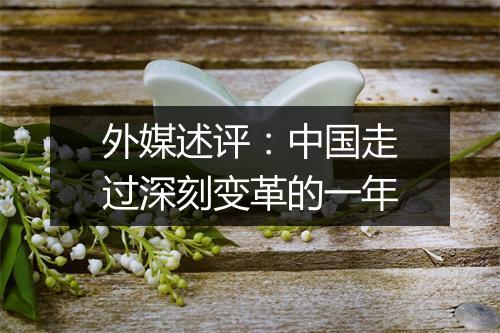 外媒述评：中国走过深刻变革的一年
