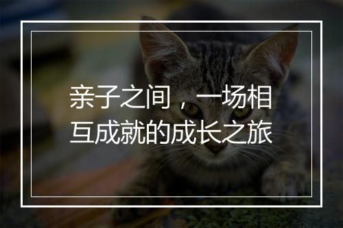 亲子之间，一场相互成就的成长之旅
