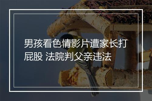 男孩看色情影片遭家长打屁股 法院判父亲违法