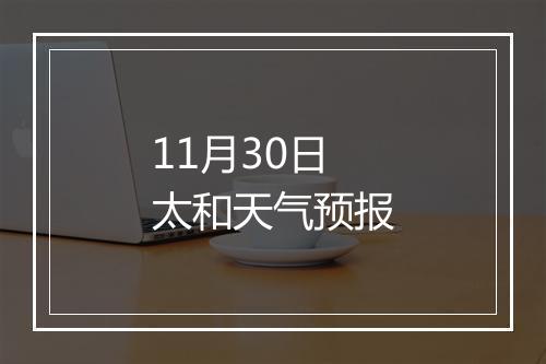 11月30日太和天气预报