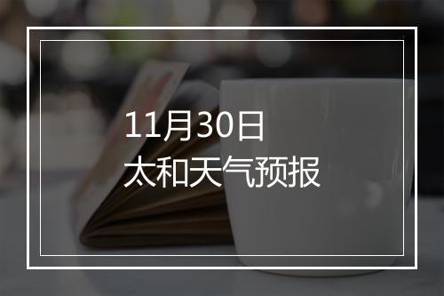 11月30日太和天气预报