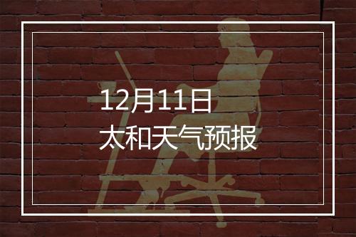12月11日太和天气预报