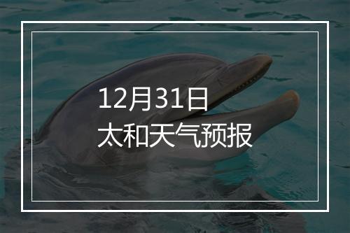 12月31日太和天气预报