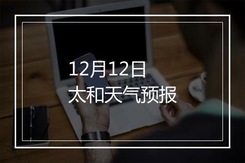 12月12日太和天气预报