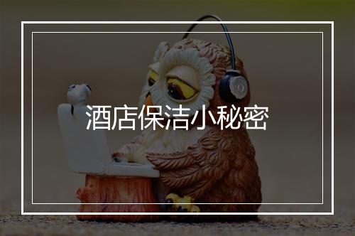 酒店保洁小秘密