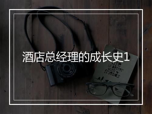 酒店总经理的成长史1