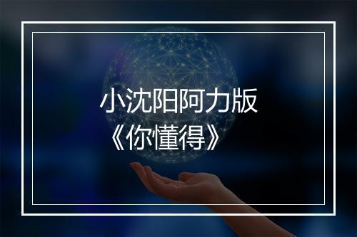 小沈阳阿力版《你懂得》