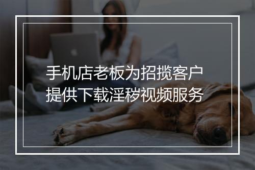 手机店老板为招揽客户 提供下载淫秽视频服务
