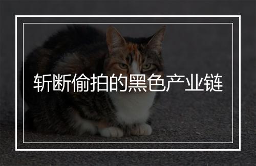 斩断偷拍的黑色产业链
