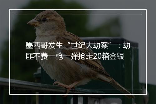 墨西哥发生“世纪大劫案”：劫匪不费一枪一弹抢走20箱金银