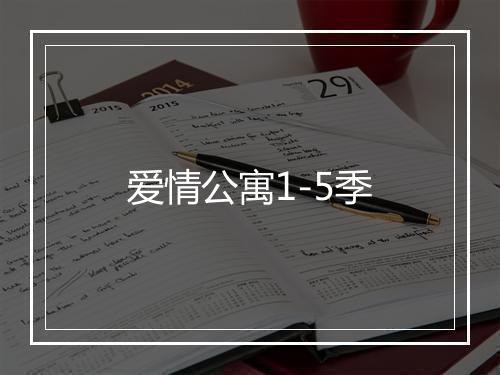 爱情公寓1-5季