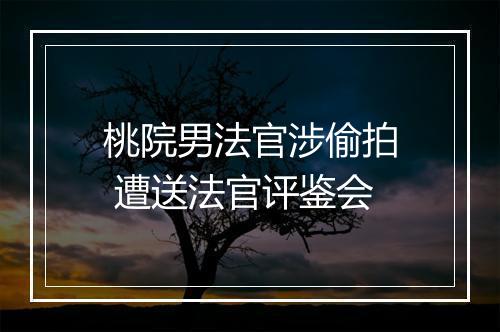 桃院男法官涉偷拍 遭送法官评鉴会