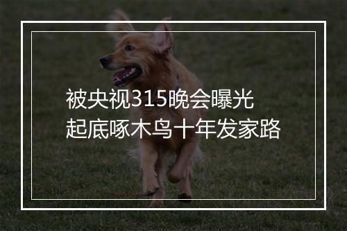被央视315晚会曝光 起底啄木鸟十年发家路