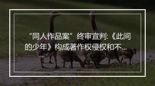 “同人作品案”终审宣判:《此间的少年》构成著作权侵权和不正当竞争