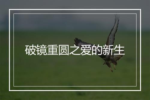 破镜重圆之爱的新生